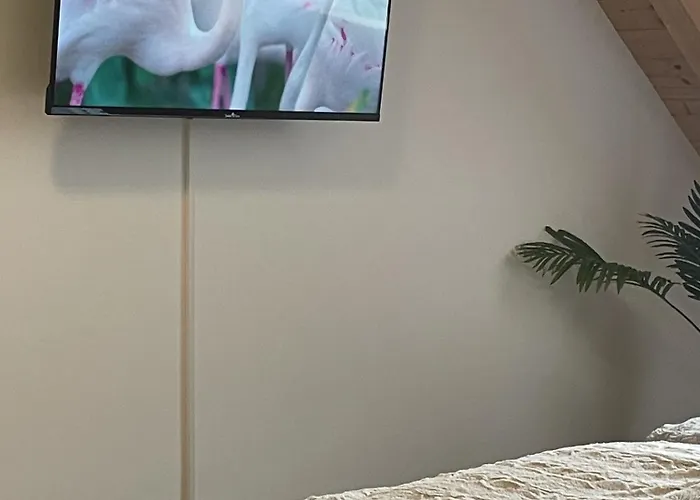 Apartament Fewo-forum *